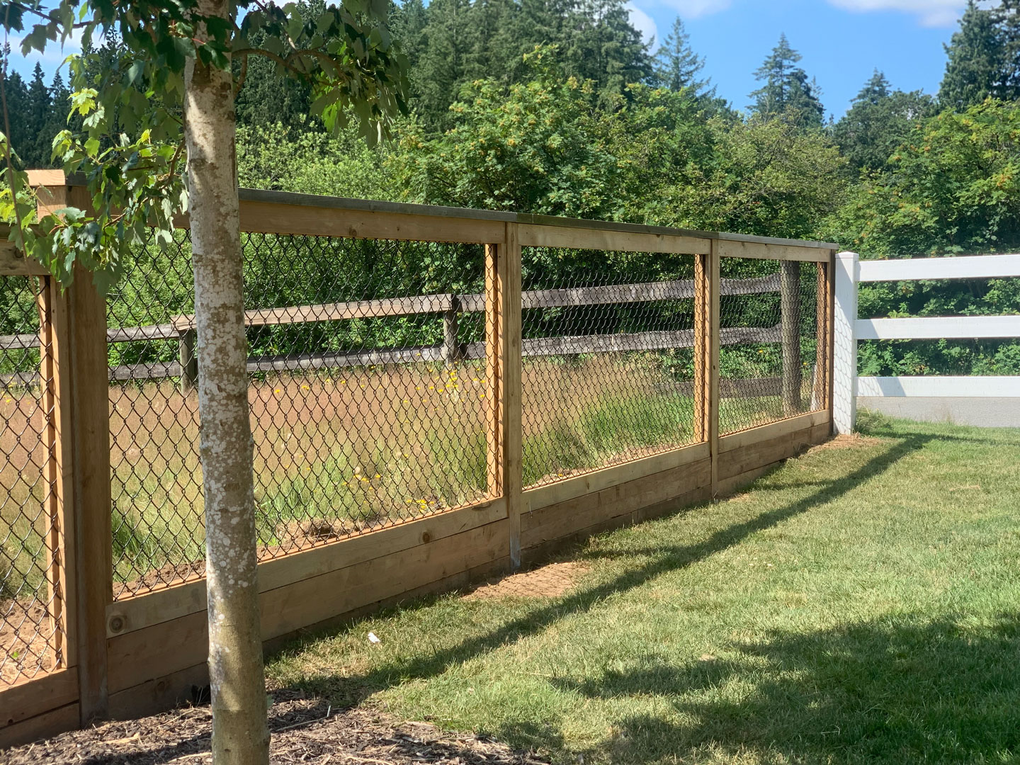 Featured image for “Our Top Four Agricultural Fencing Requests”