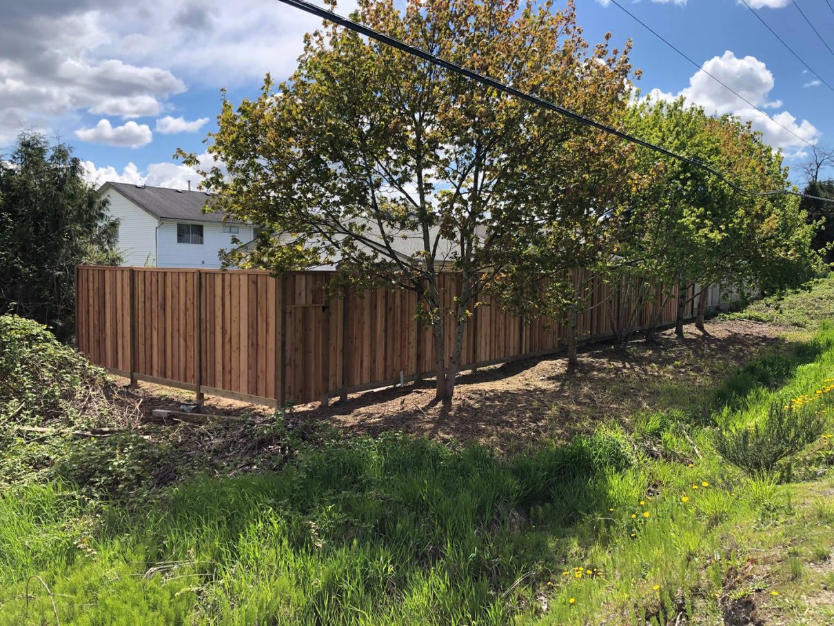 wood fence, fence paint, stain evenly, flaking paint, smooth surface, re stain, right stain, cedar fence, aesthetic appeal, even coat
