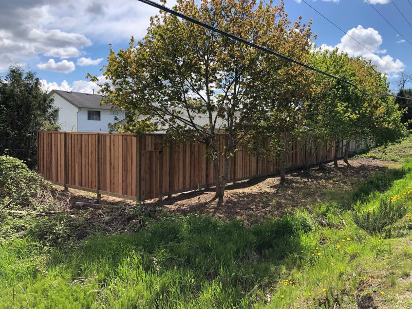 wood fence, fence paint, stain evenly, flaking paint, smooth surface, re stain, right stain, cedar fence, aesthetic appeal, even coat
