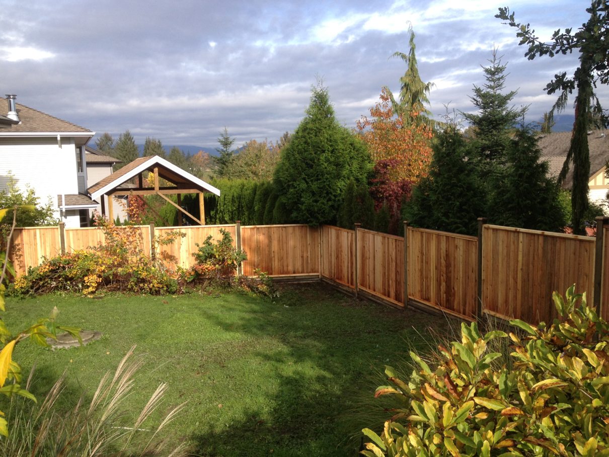 cedar fence, new cedar fence, stain your cedar fence, fencing project, western red cedar, fence, cedar, things cedar